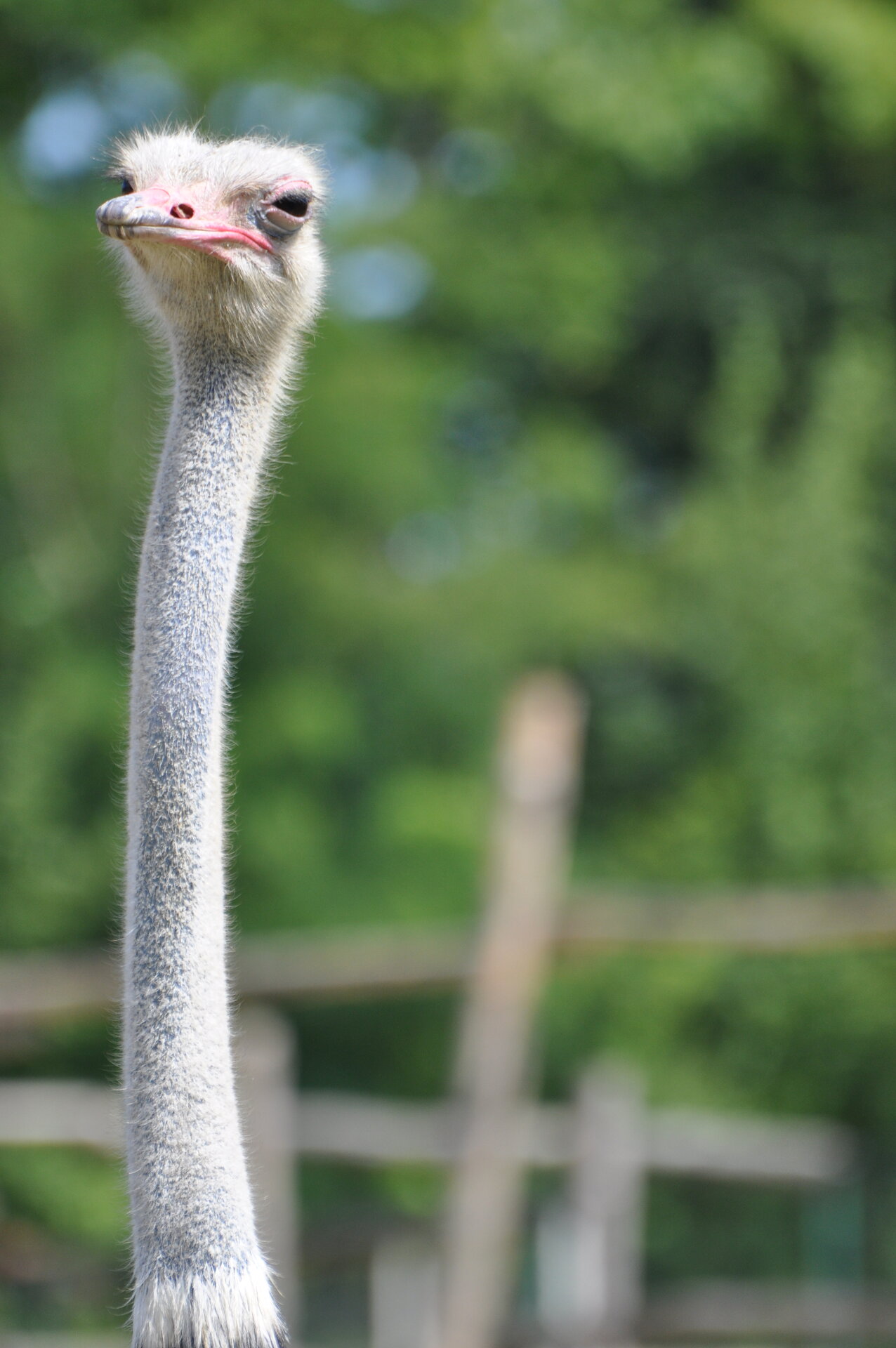 DSC_1255.jpeg