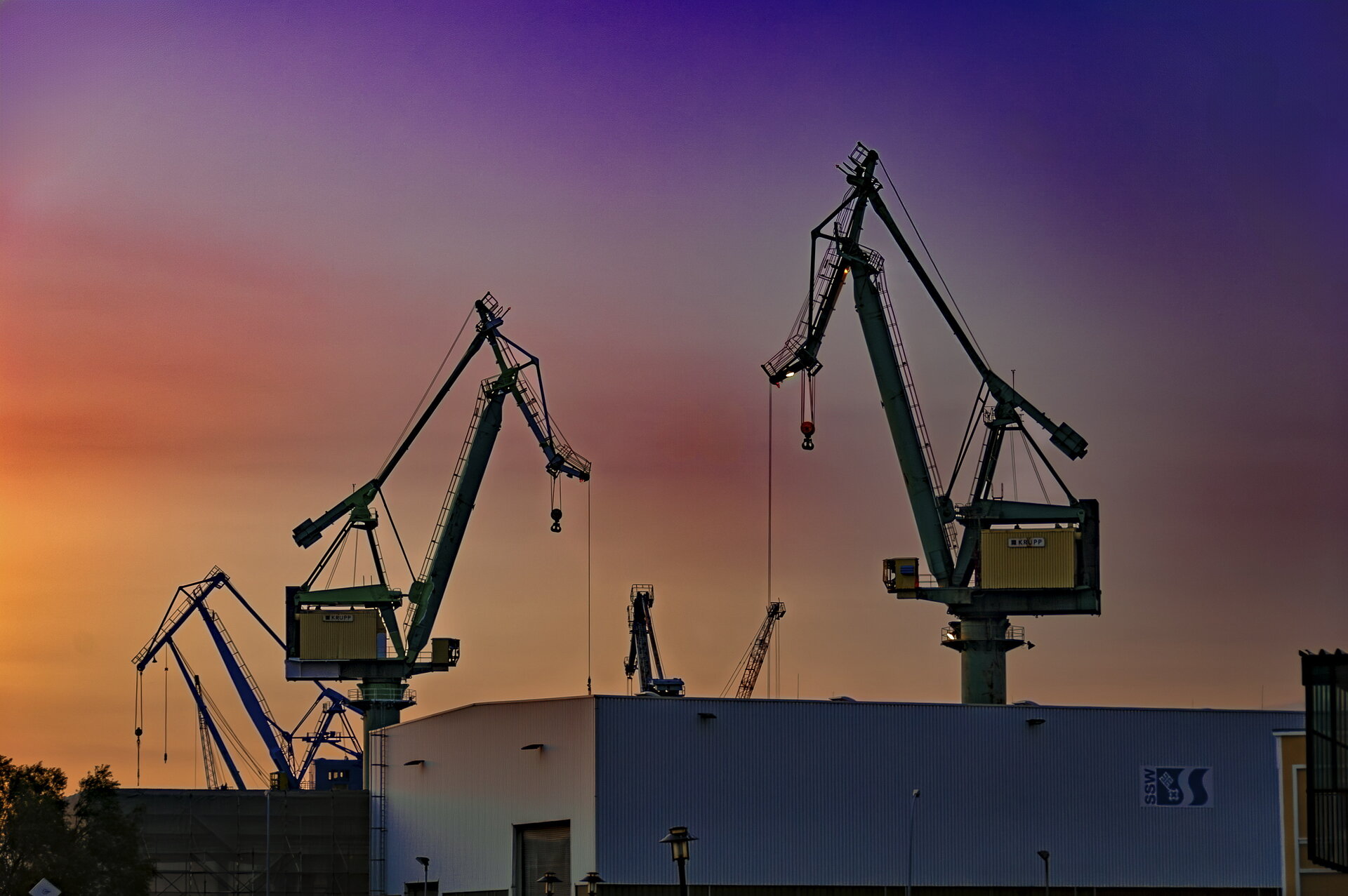DSC_1372_2-R.jpg