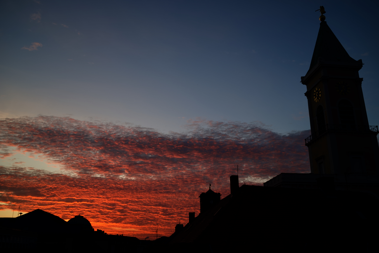DSC_1826.jpeg