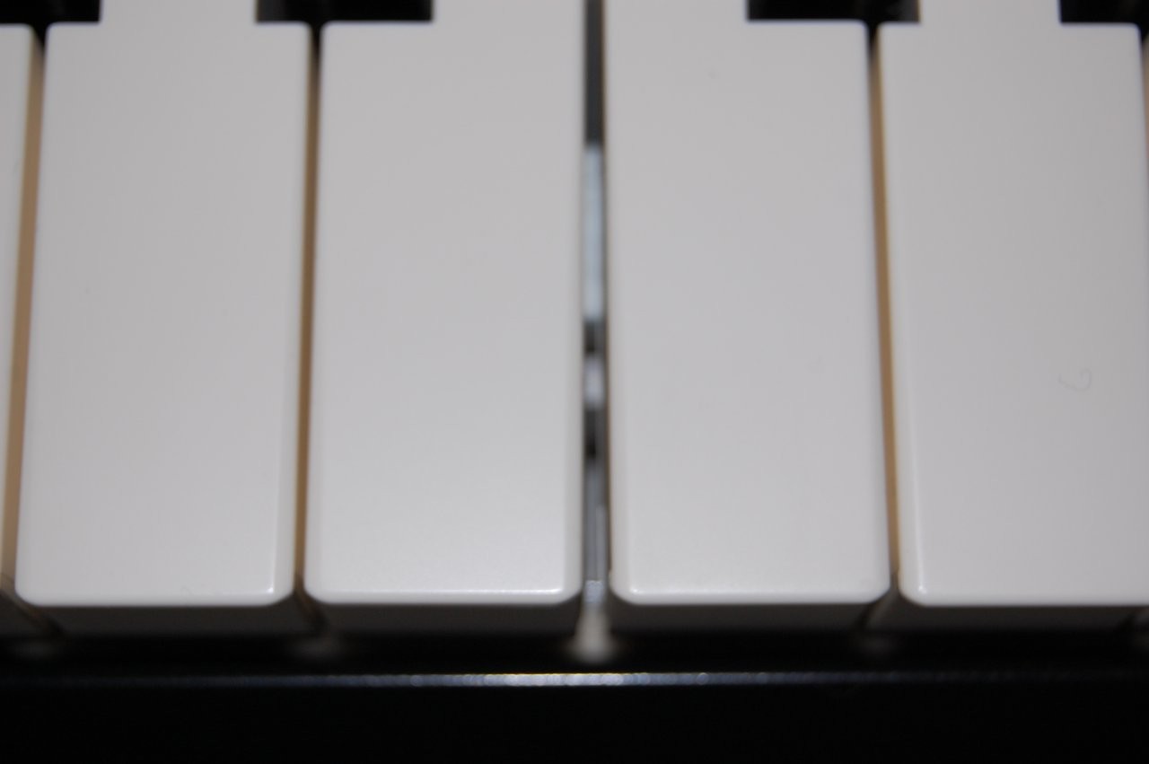 DSC_2212.JPG