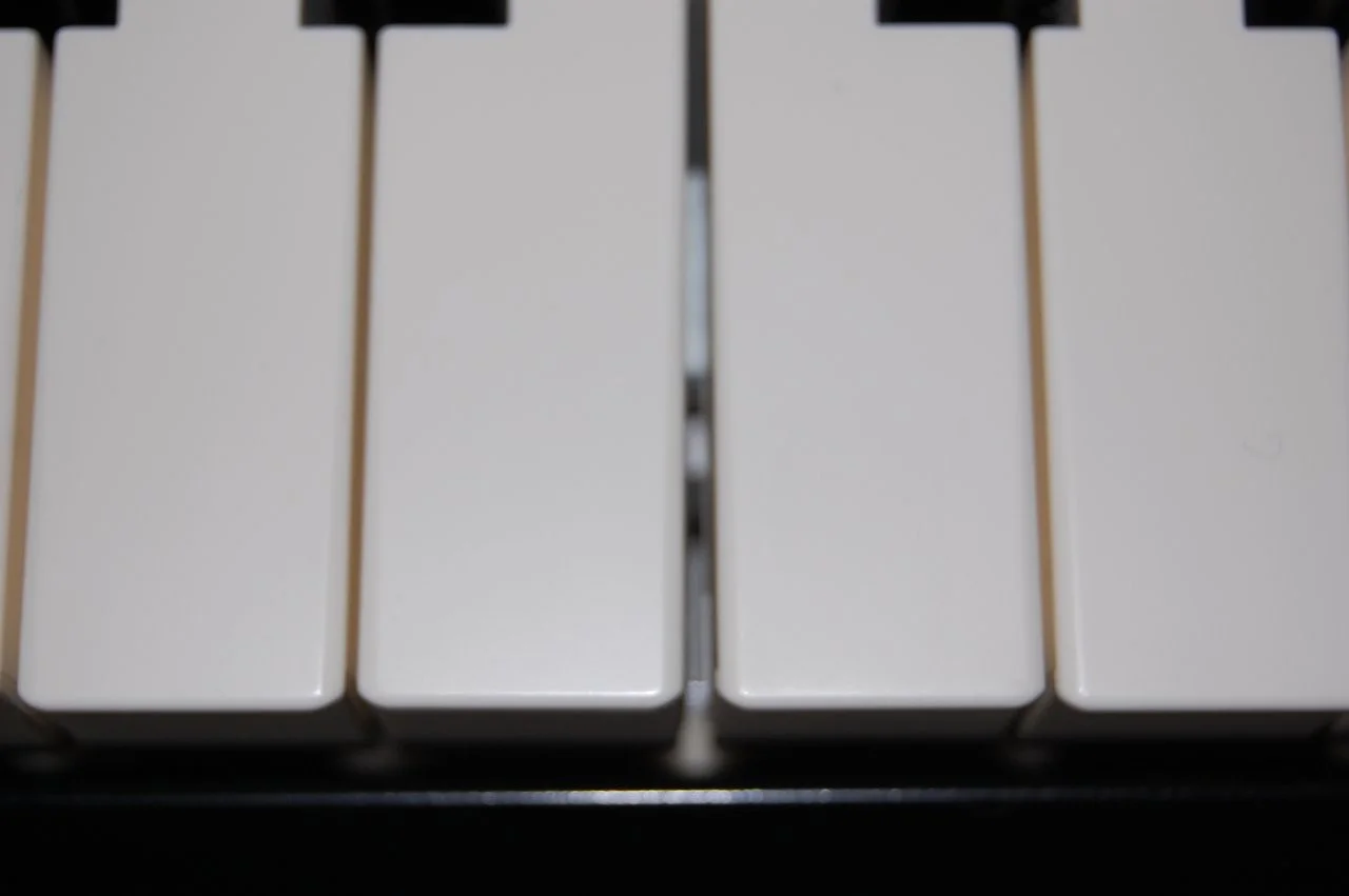 DSC_2212.webp