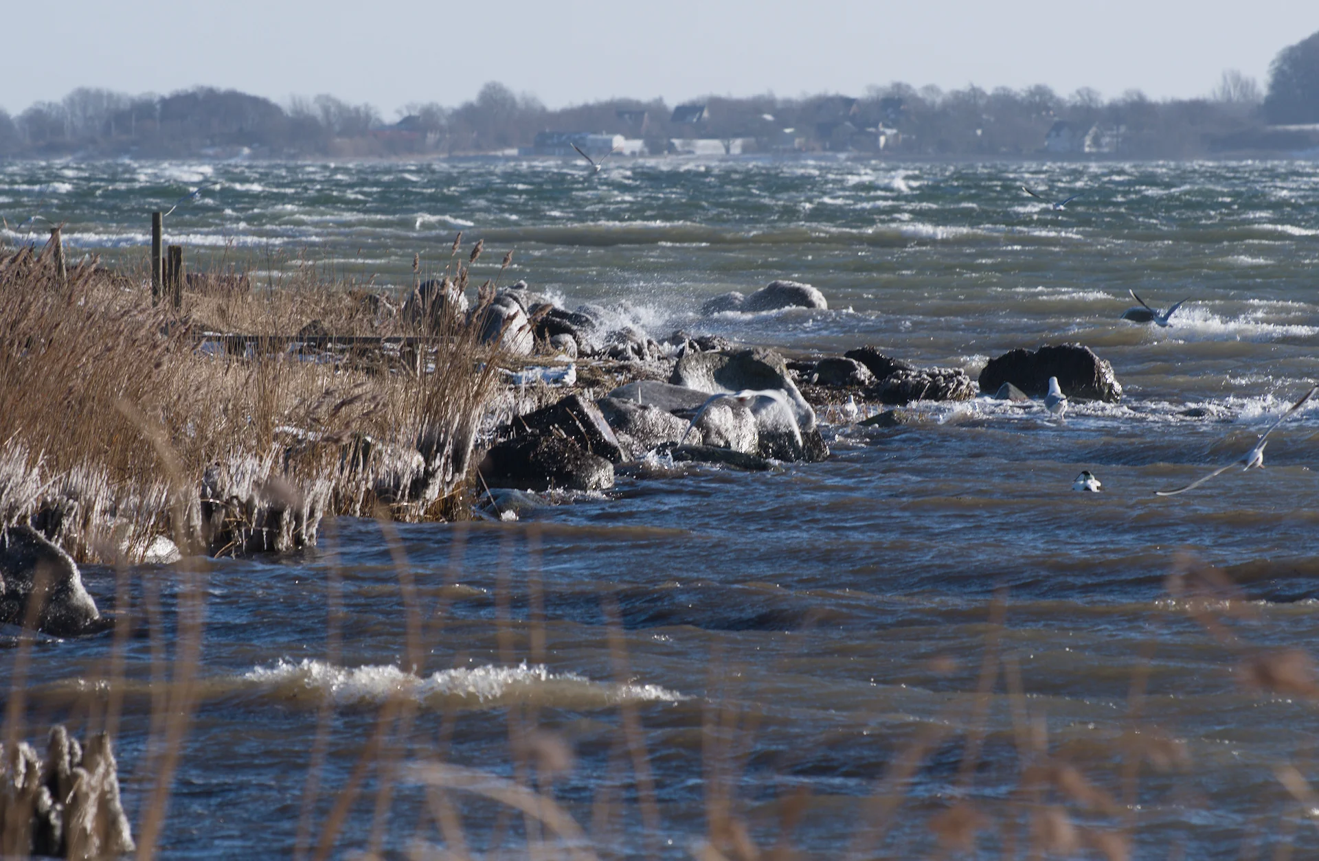 DSC_2243.webp