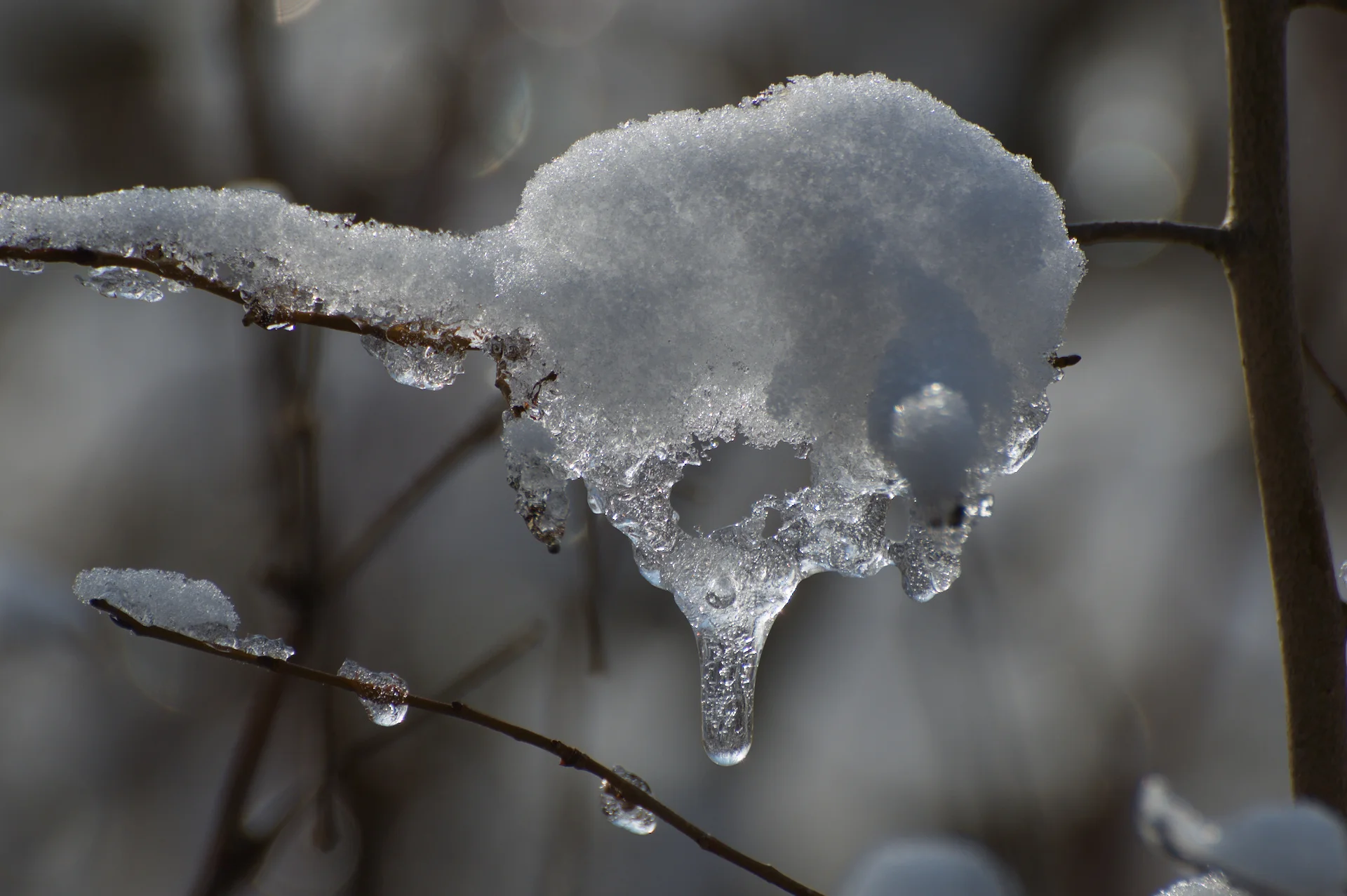 DSC_2587.webp