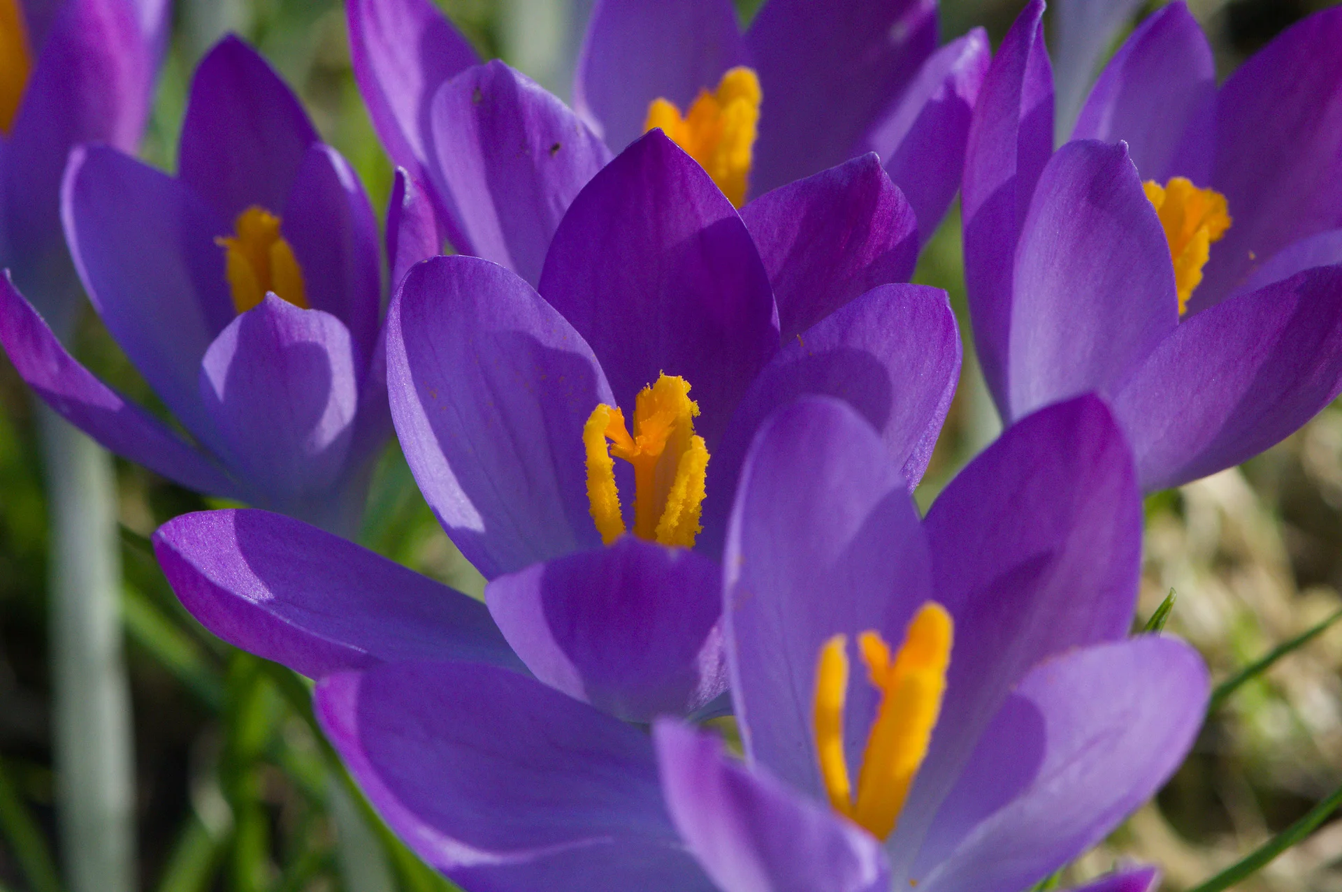 DSC_2668.webp