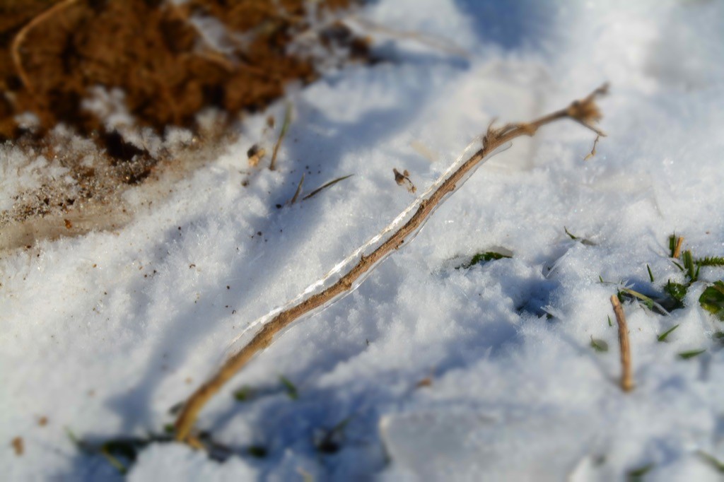 DSC_3847.jpg