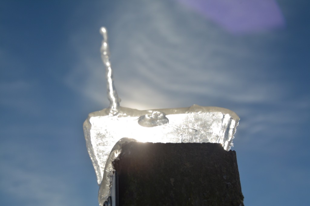 DSC_3850.jpg