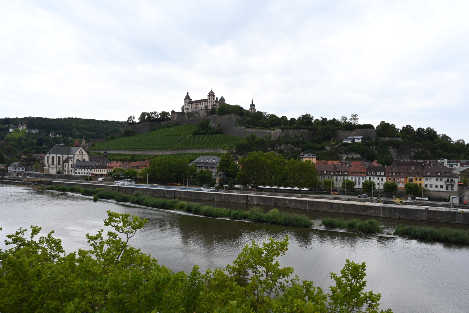 DSC_3955.JPG