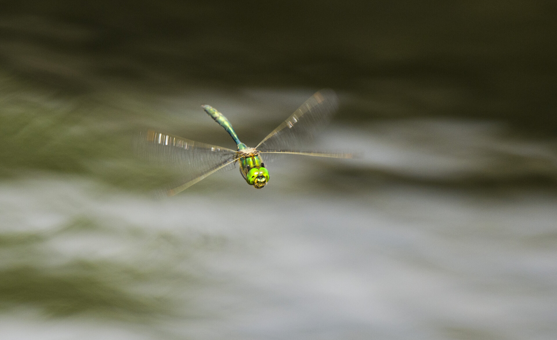 DSC_4122.JPG