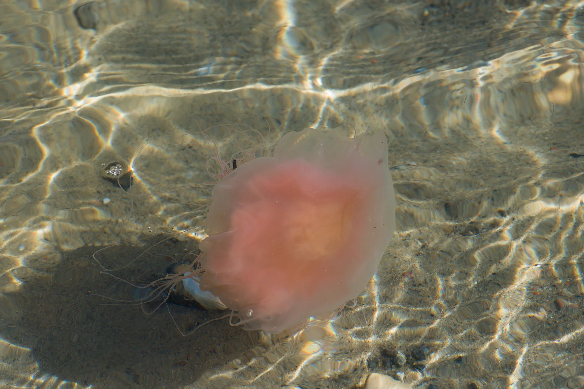 DSC_4480.webp