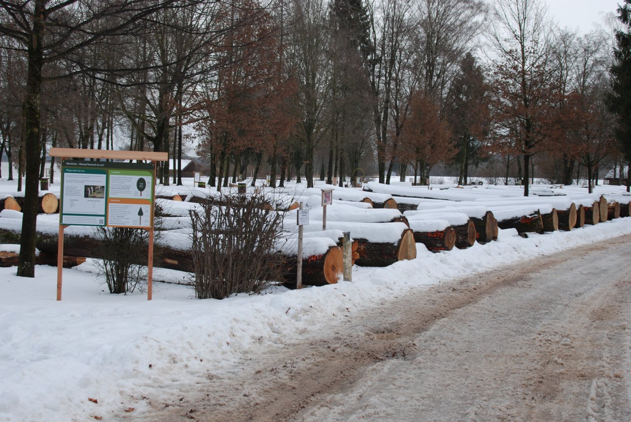 DSC_45336479.JPG