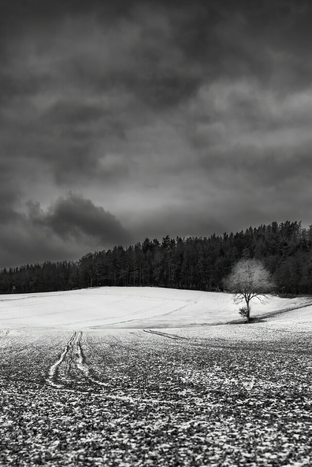 DSC_4658_2-De.jpg