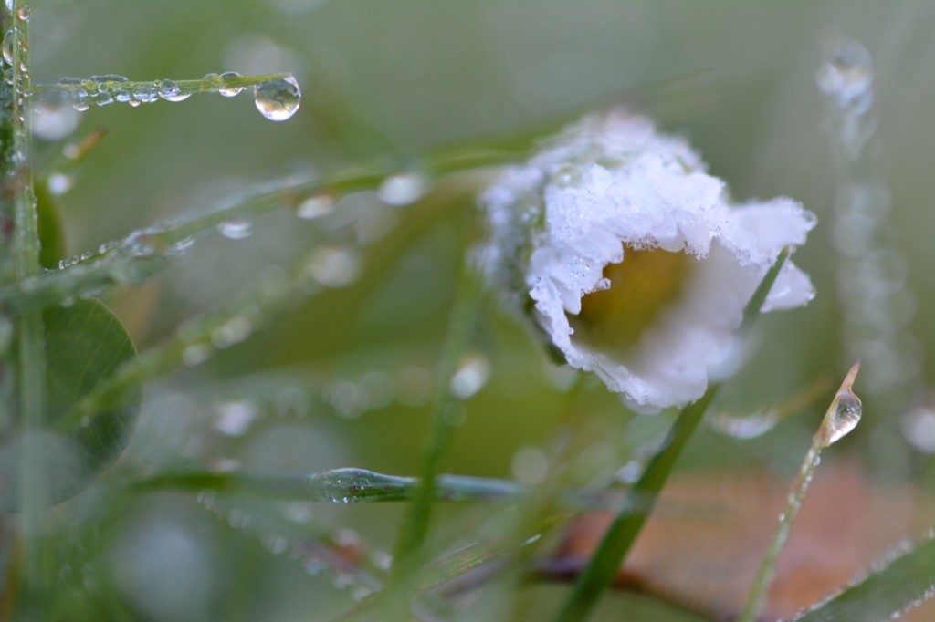 DSC_5117.jpg