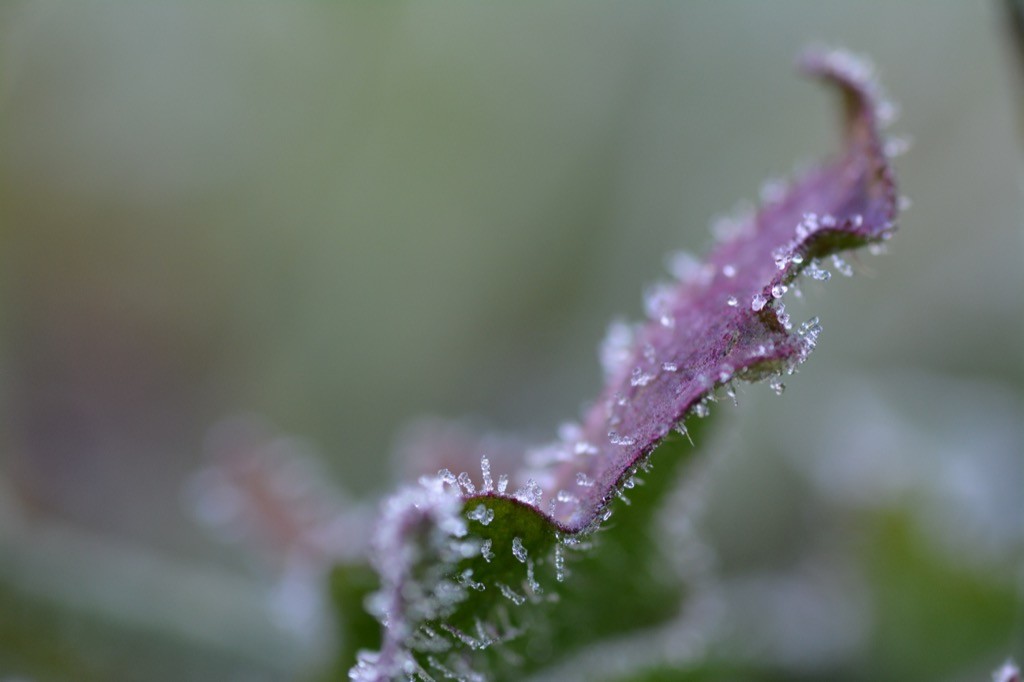 DSC_5118.jpg