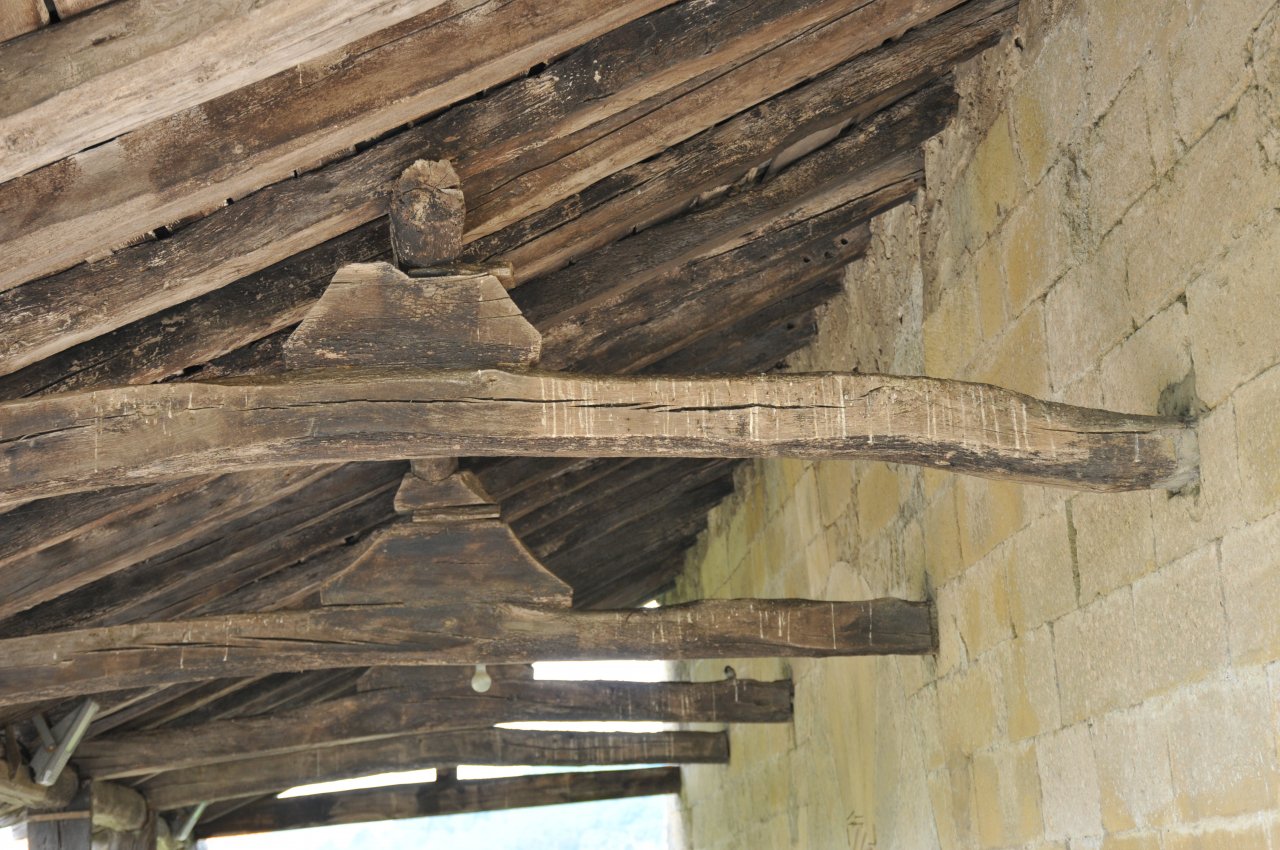 DSC_5173.JPG