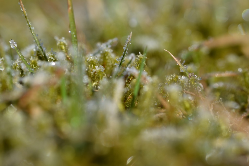 DSC_5357.jpg