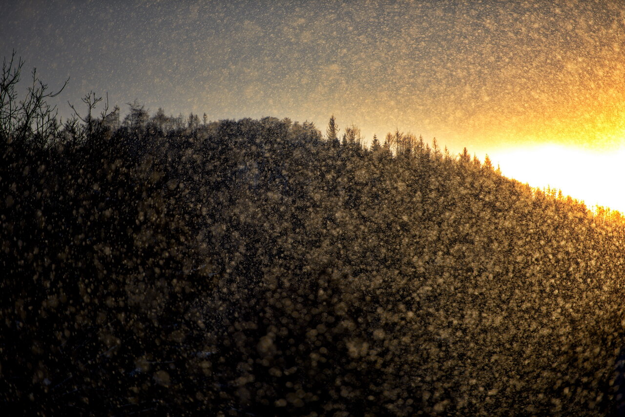 DSC_7105kl.jpg