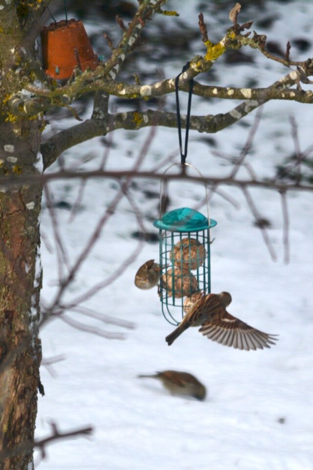 DSC_7688.jpg