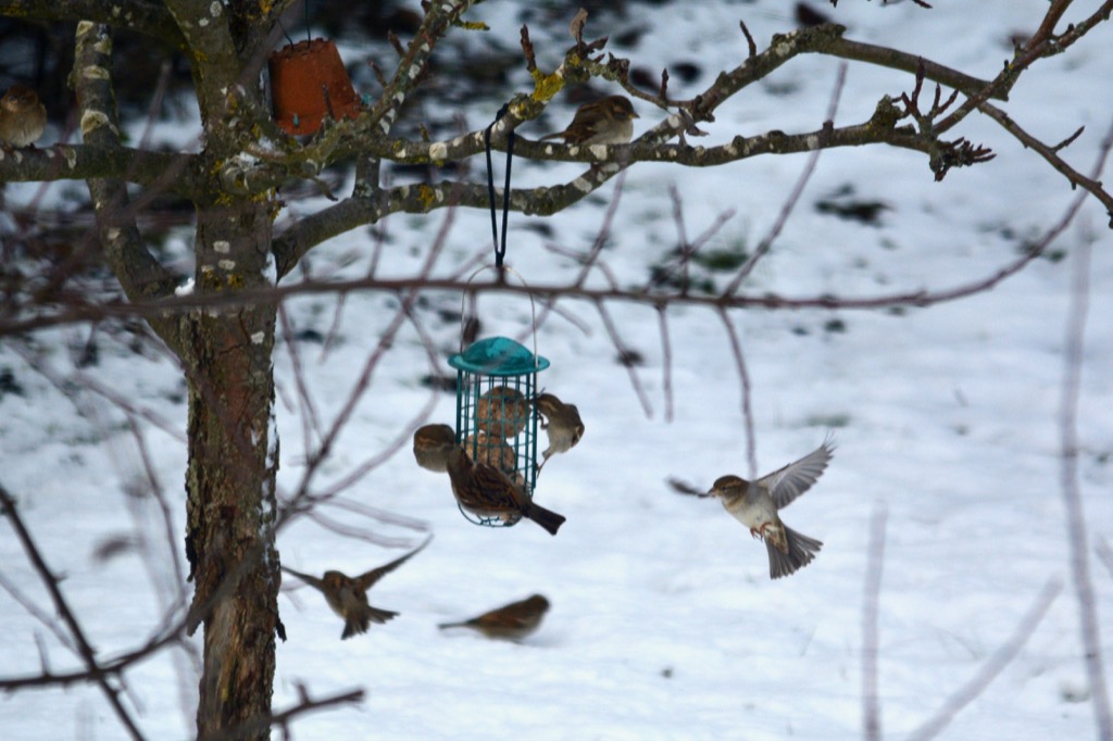DSC_7717.jpg