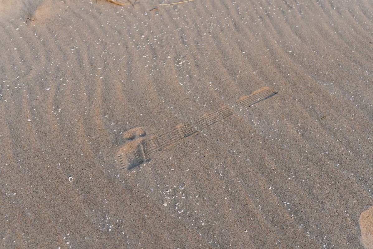 DSC_8901.JPG
