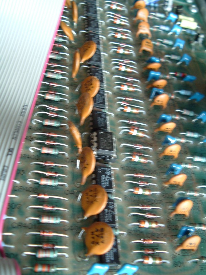 DSCF2028.JPG