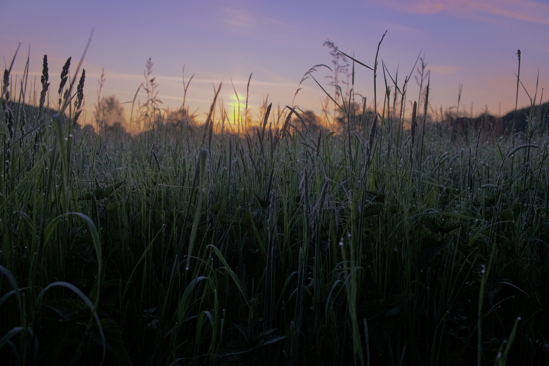 DSCF5022.JPG