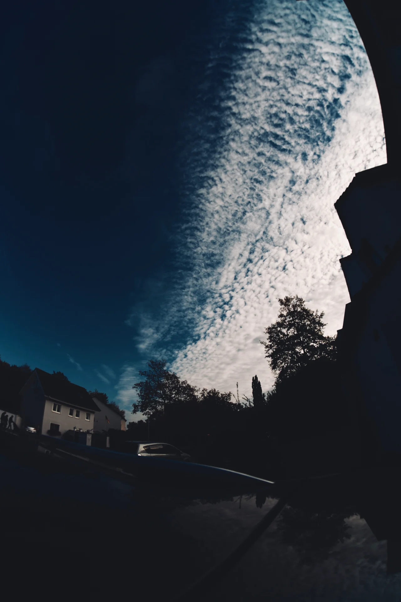 DSCF5671.webp