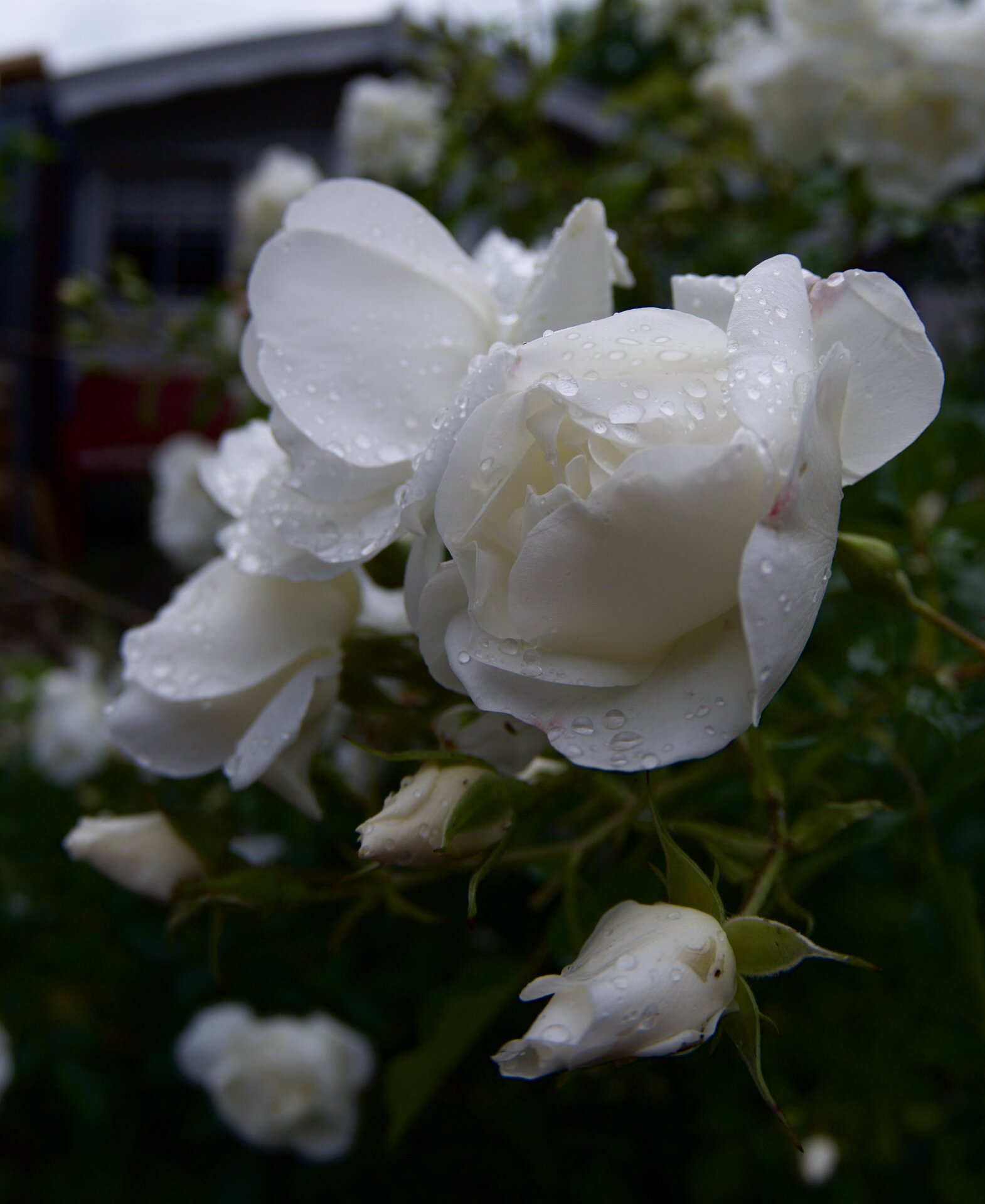 DSCF5844.JPG