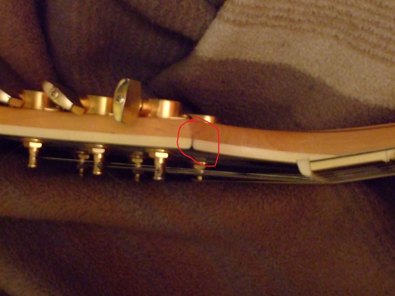 DSCF5895.JPG