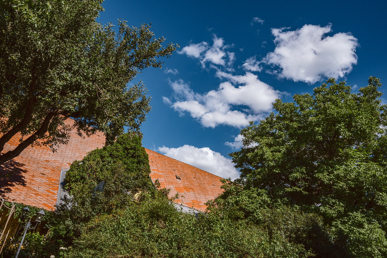 DSCF6023.jpg