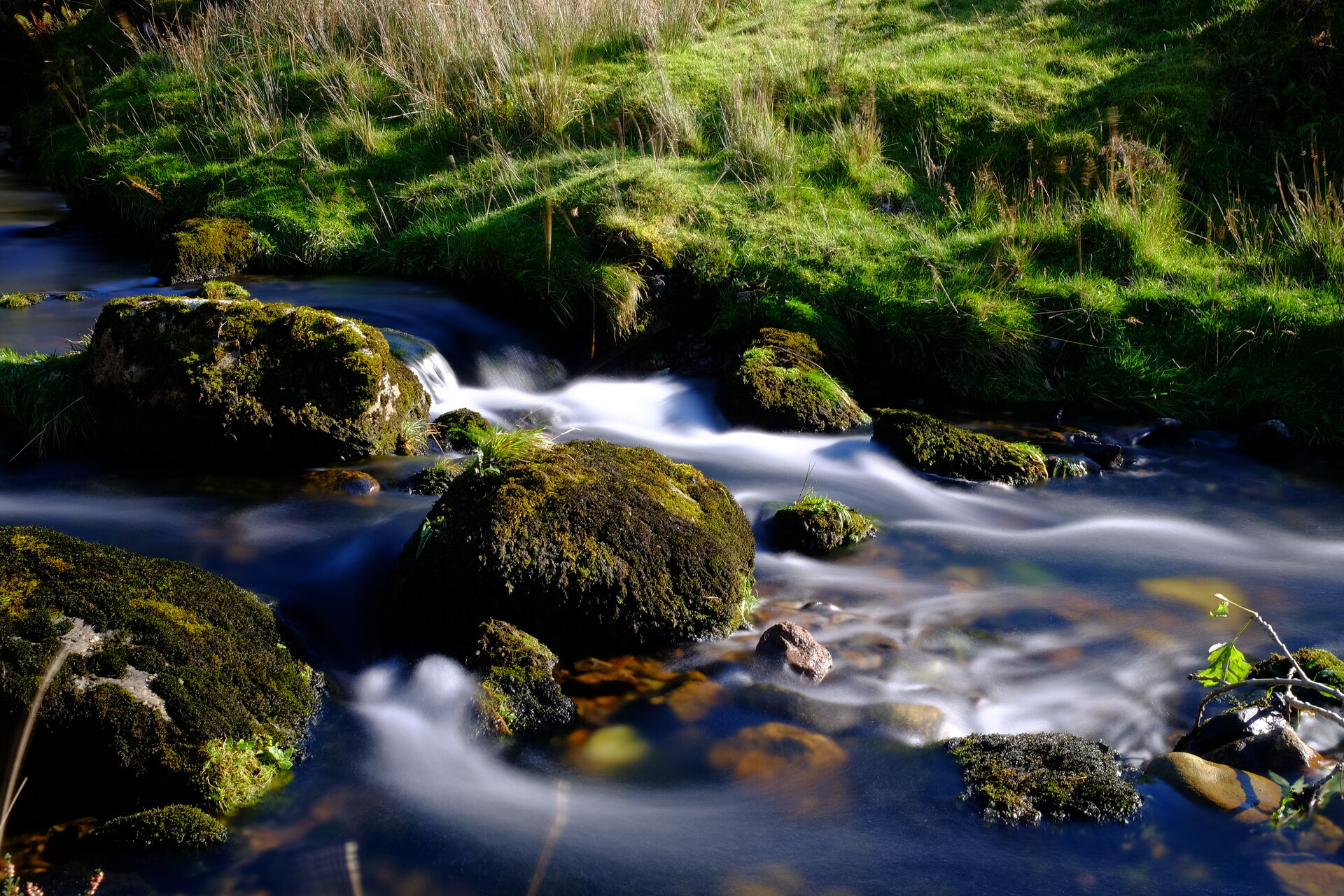 DSCF9008.JPG