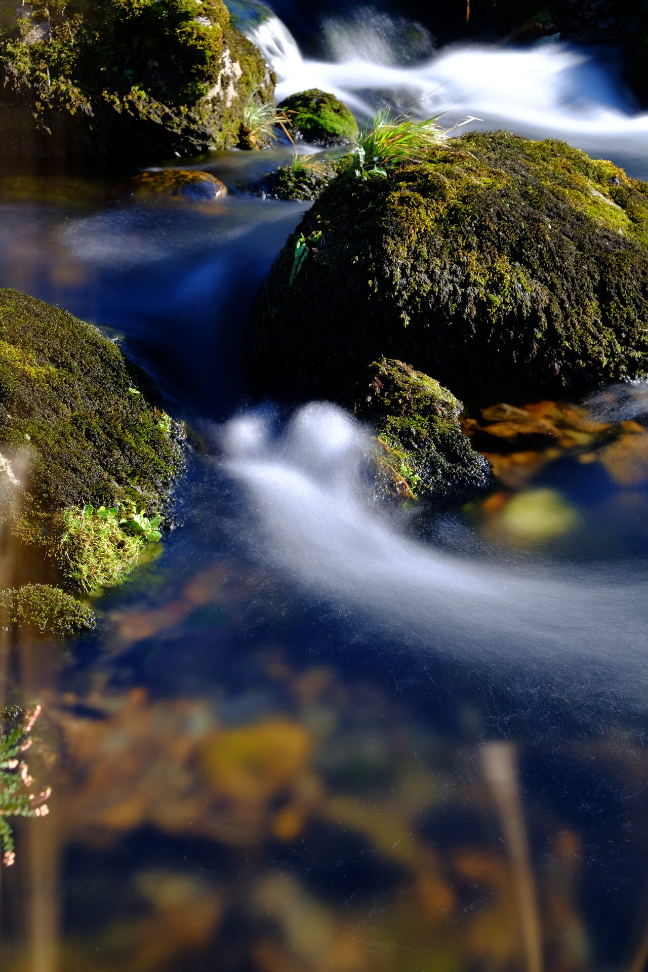 DSCF9009.JPG