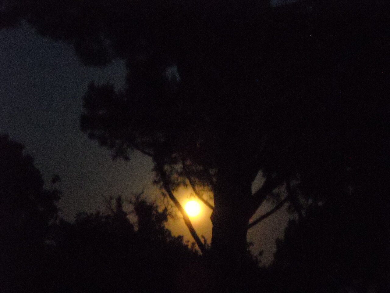 DSCN0004.JPG