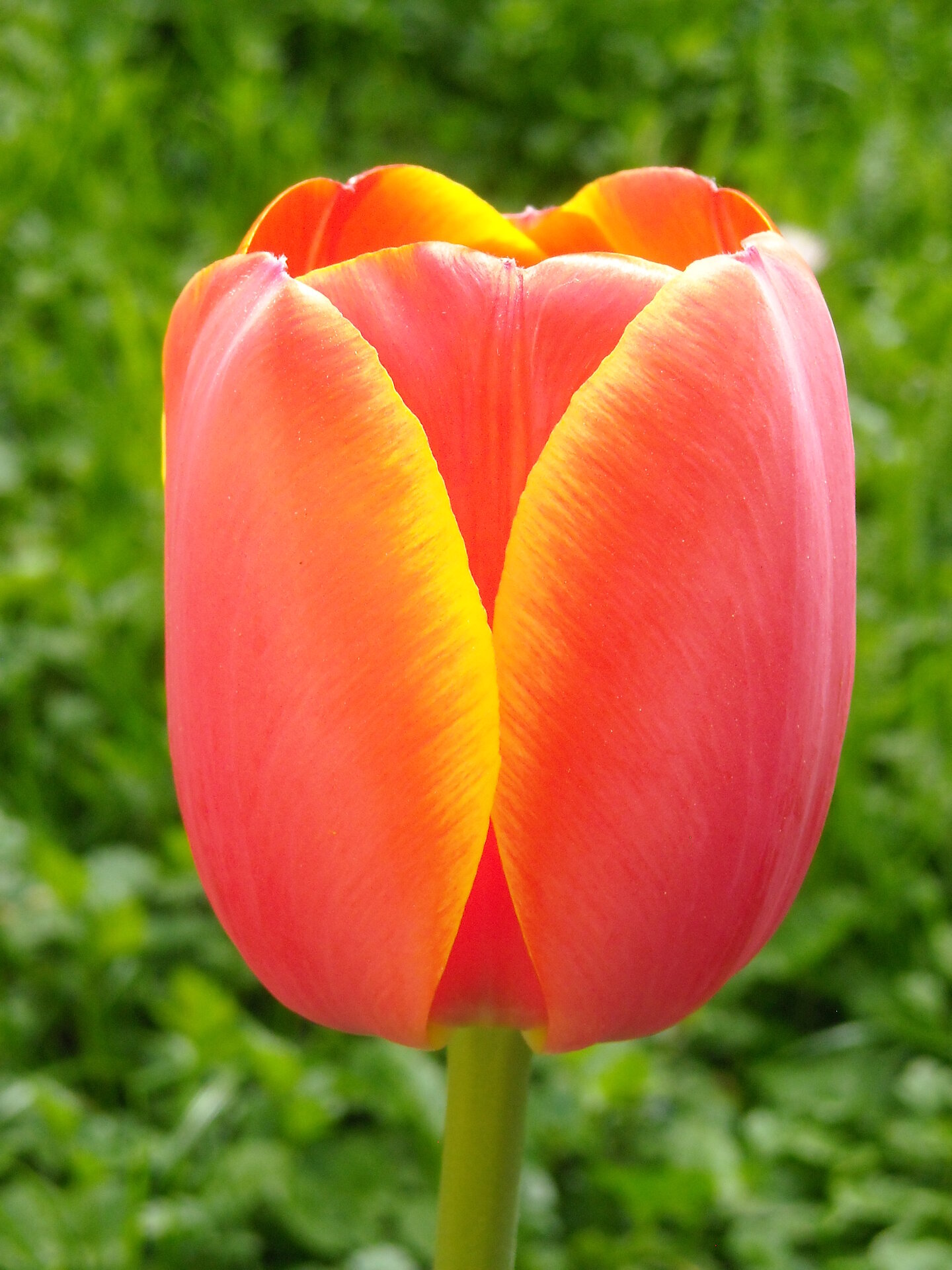 DSCN0008.JPG