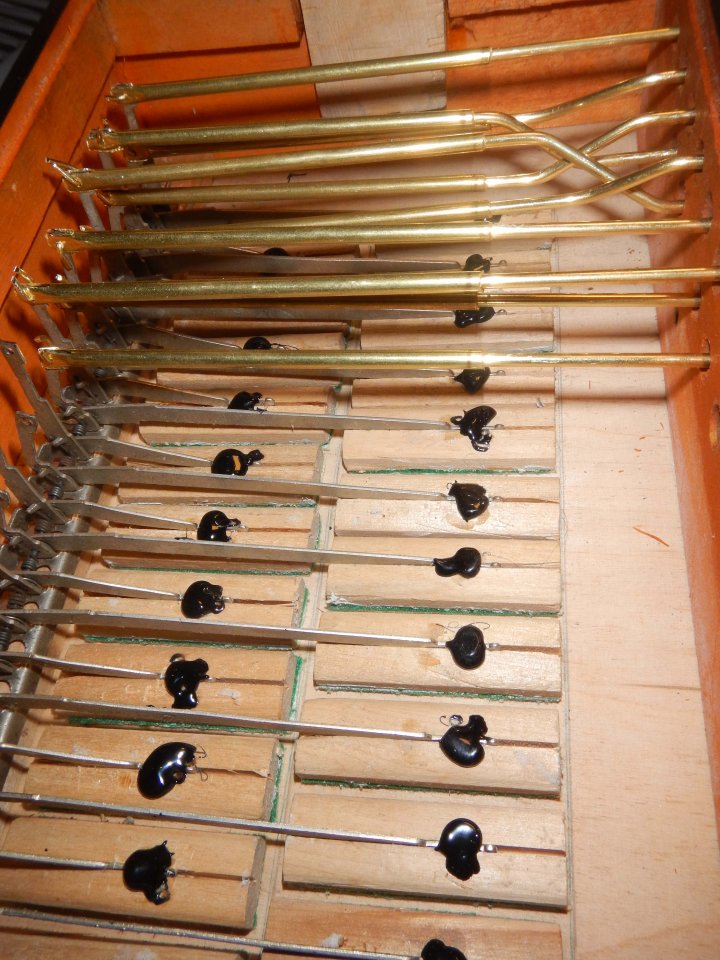 DSCN0038.jpg