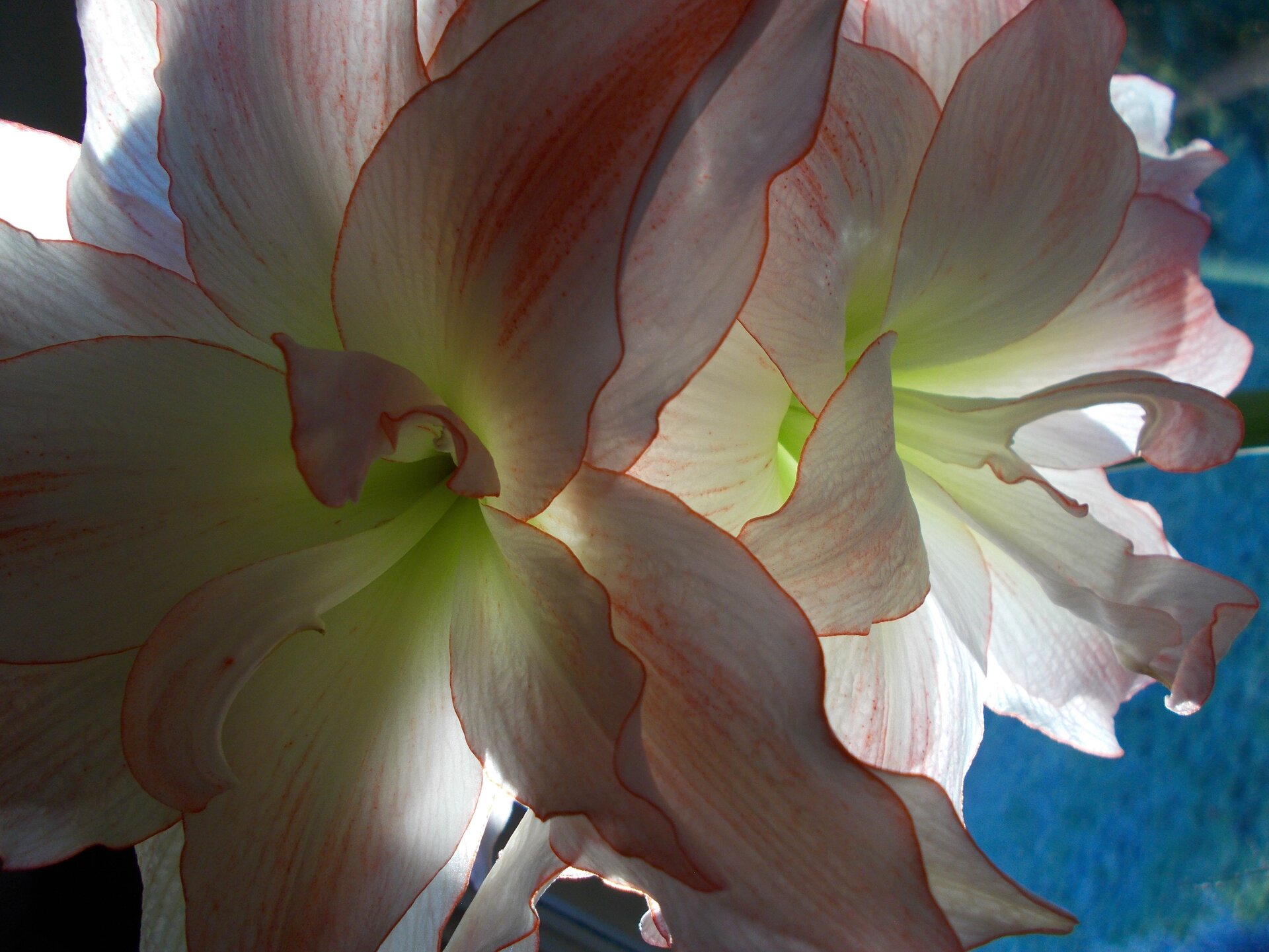 DSCN0098.jpg