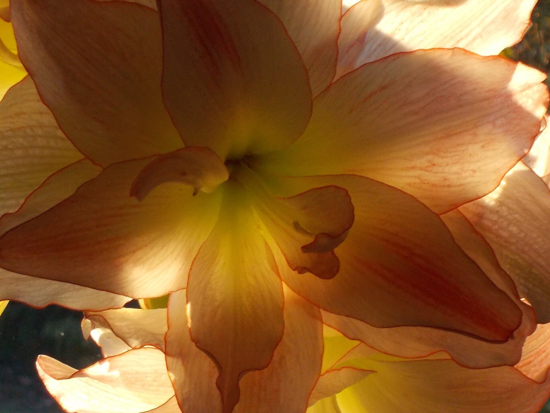 DSCN0212.JPG