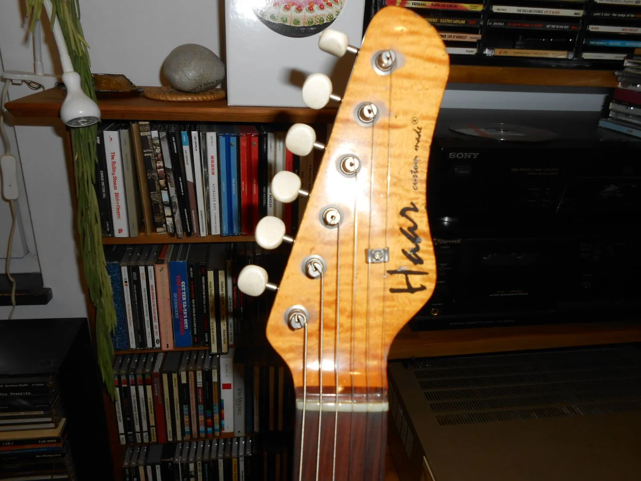 DSCN0230.jpg