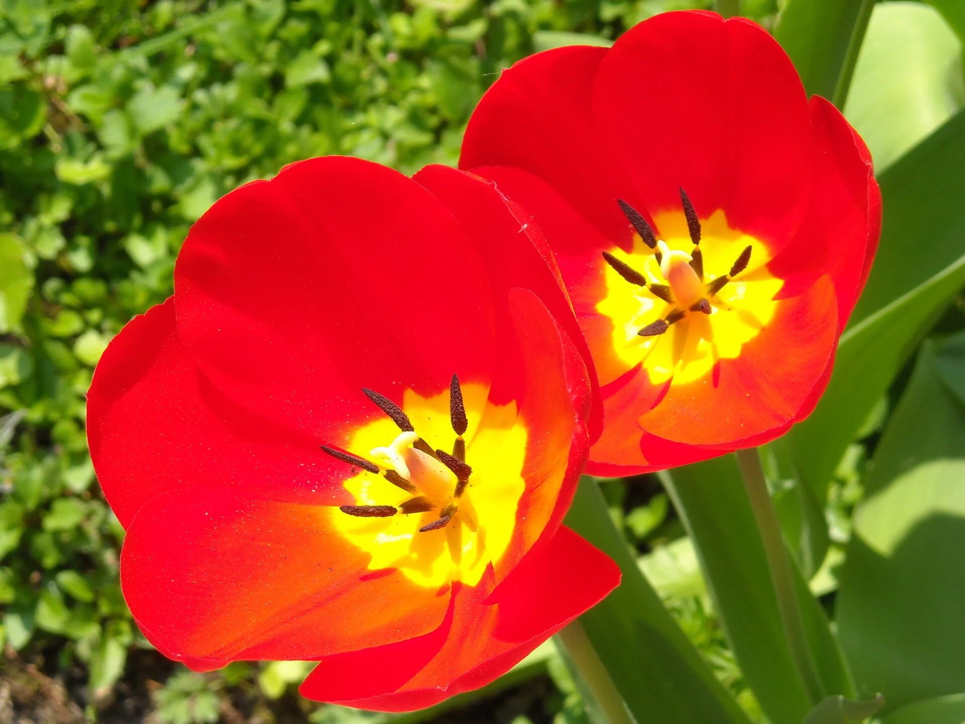 DSCN0235.webp