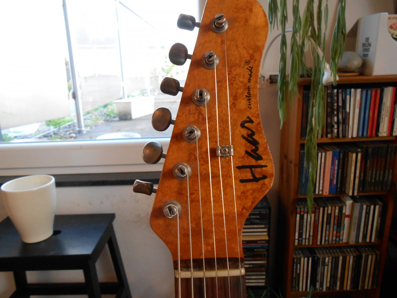 DSCN0237.jpg