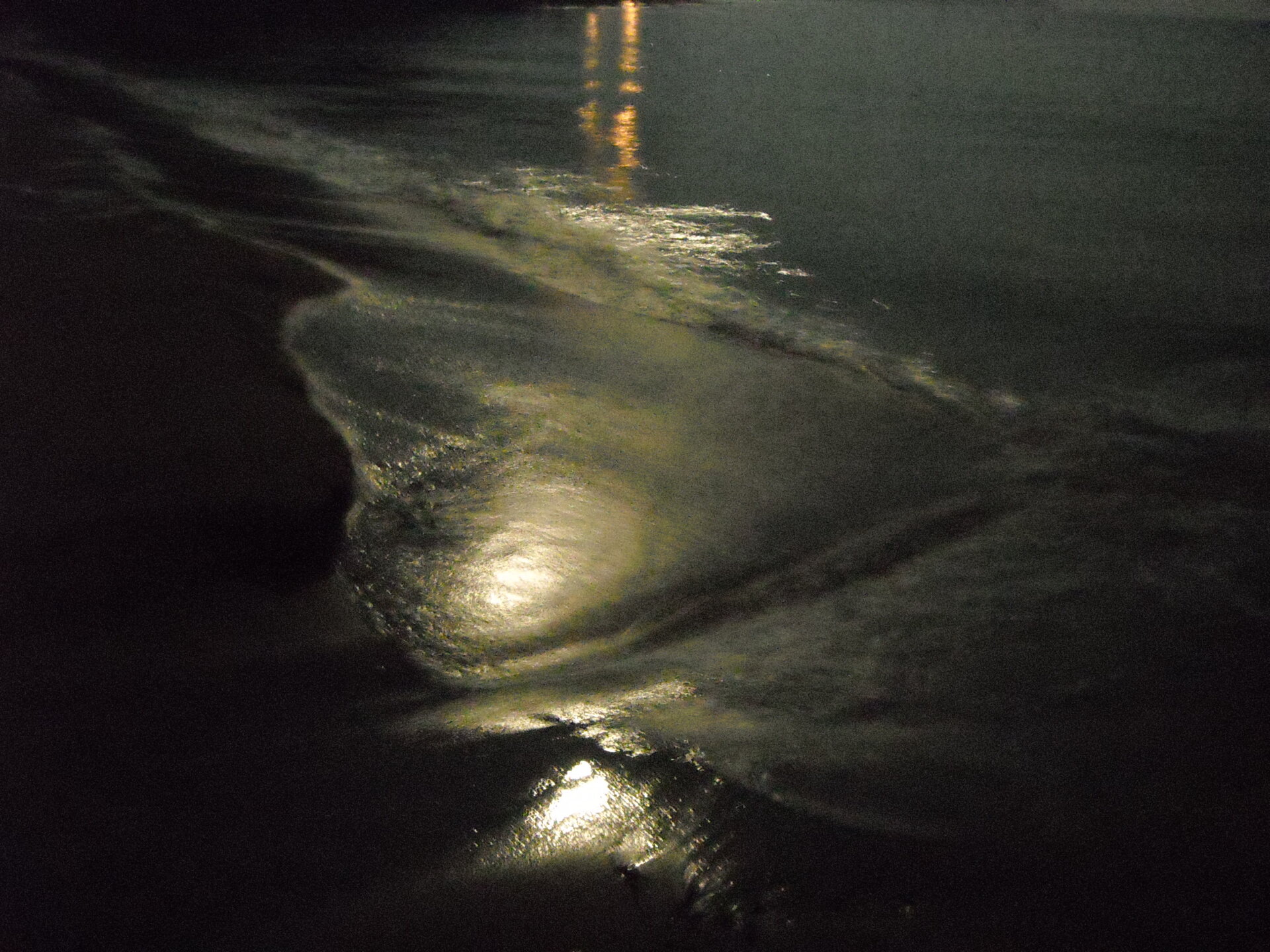 DSCN0290.JPG