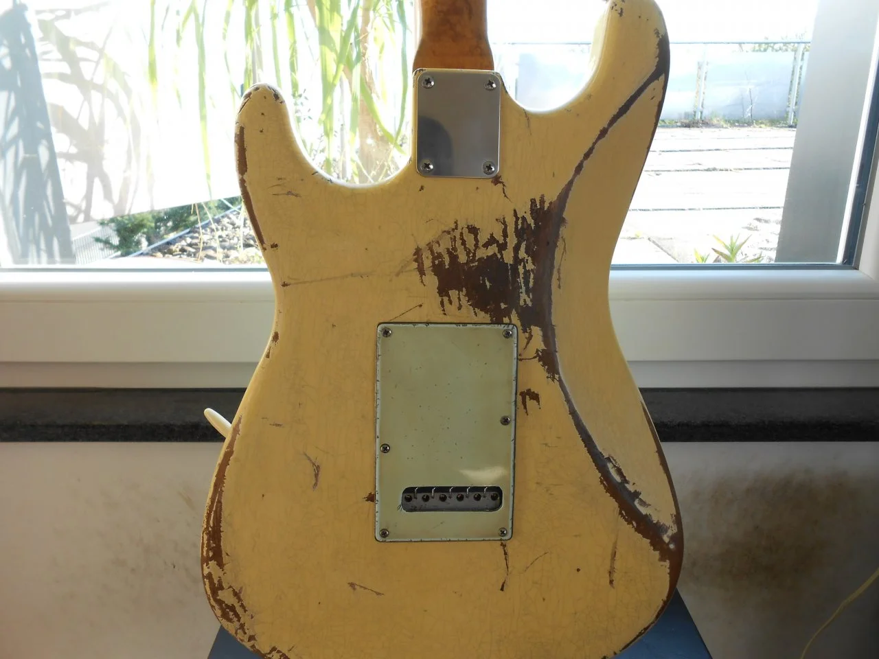 DSCN0313.jpg