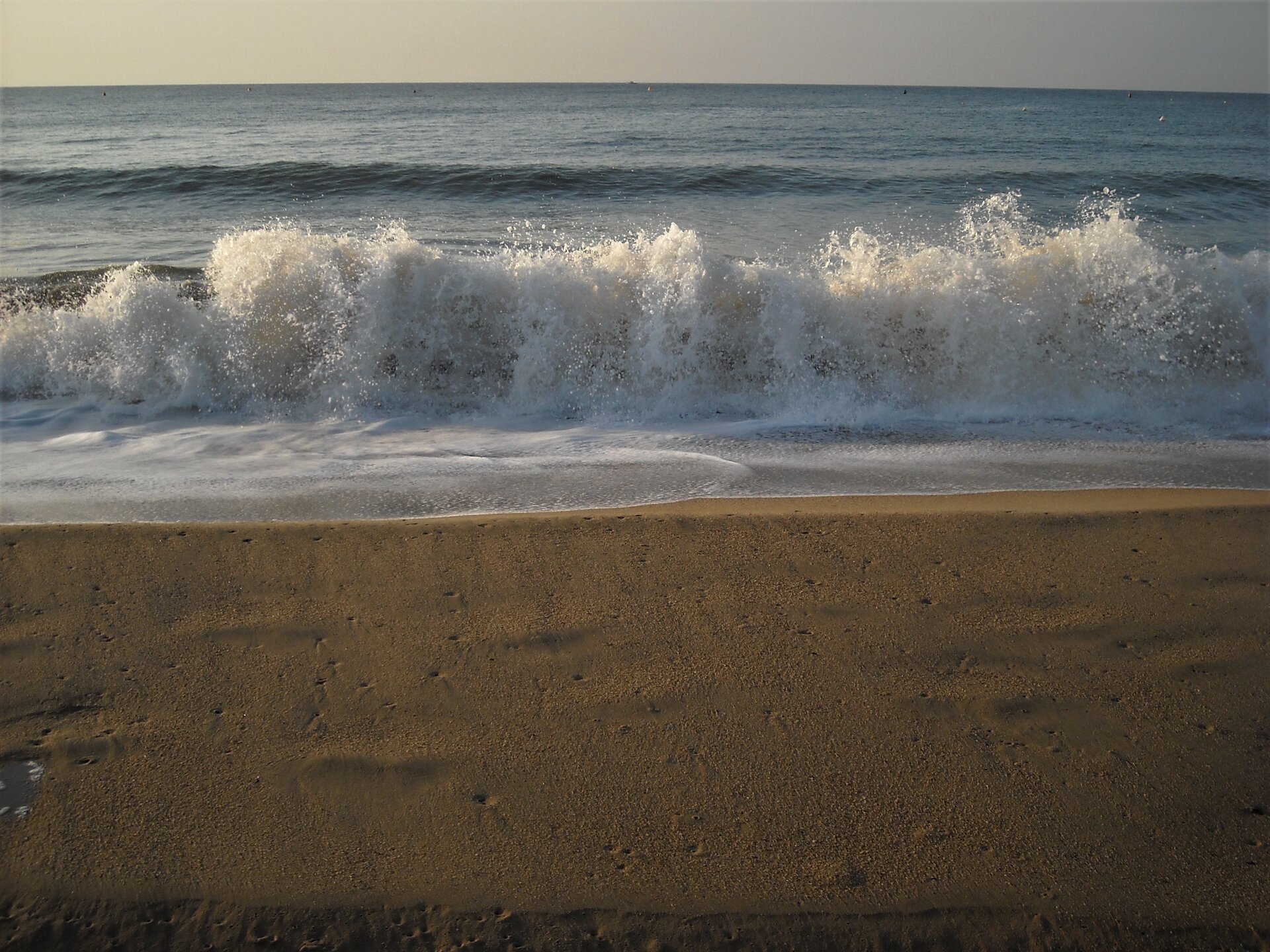 DSCN0458.JPG