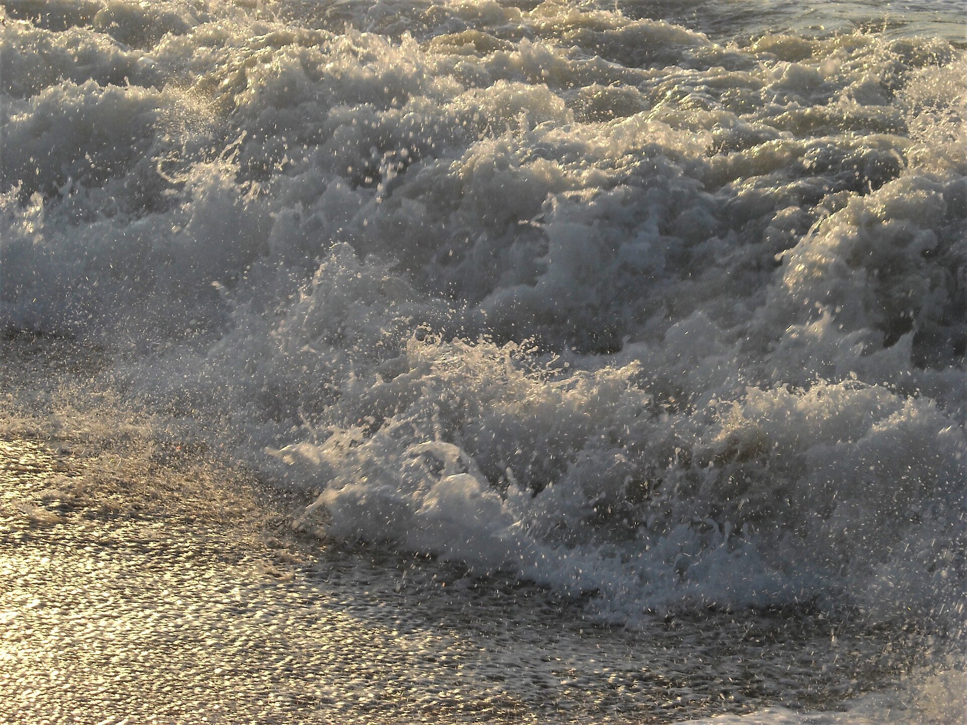 DSCN0480.JPG