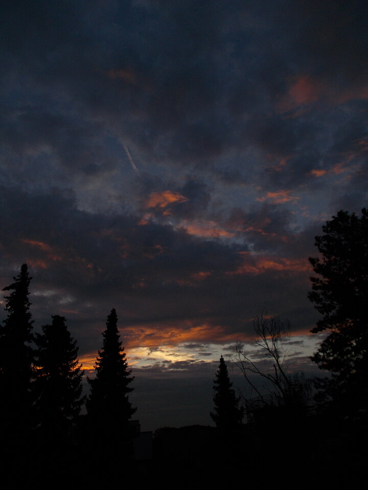 DSCN0521.JPG