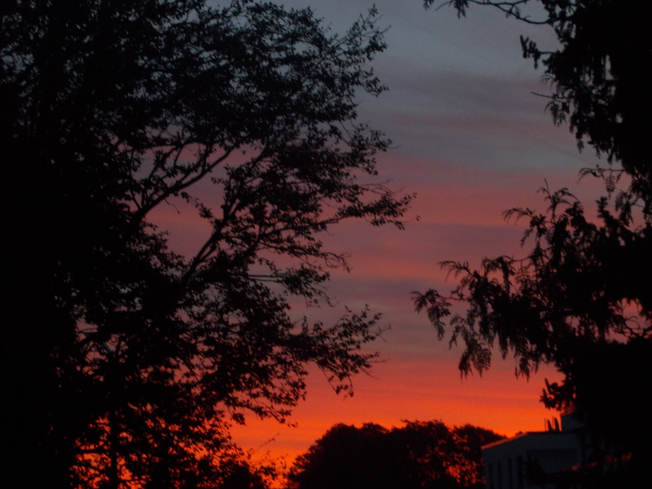 DSCN0545.JPG