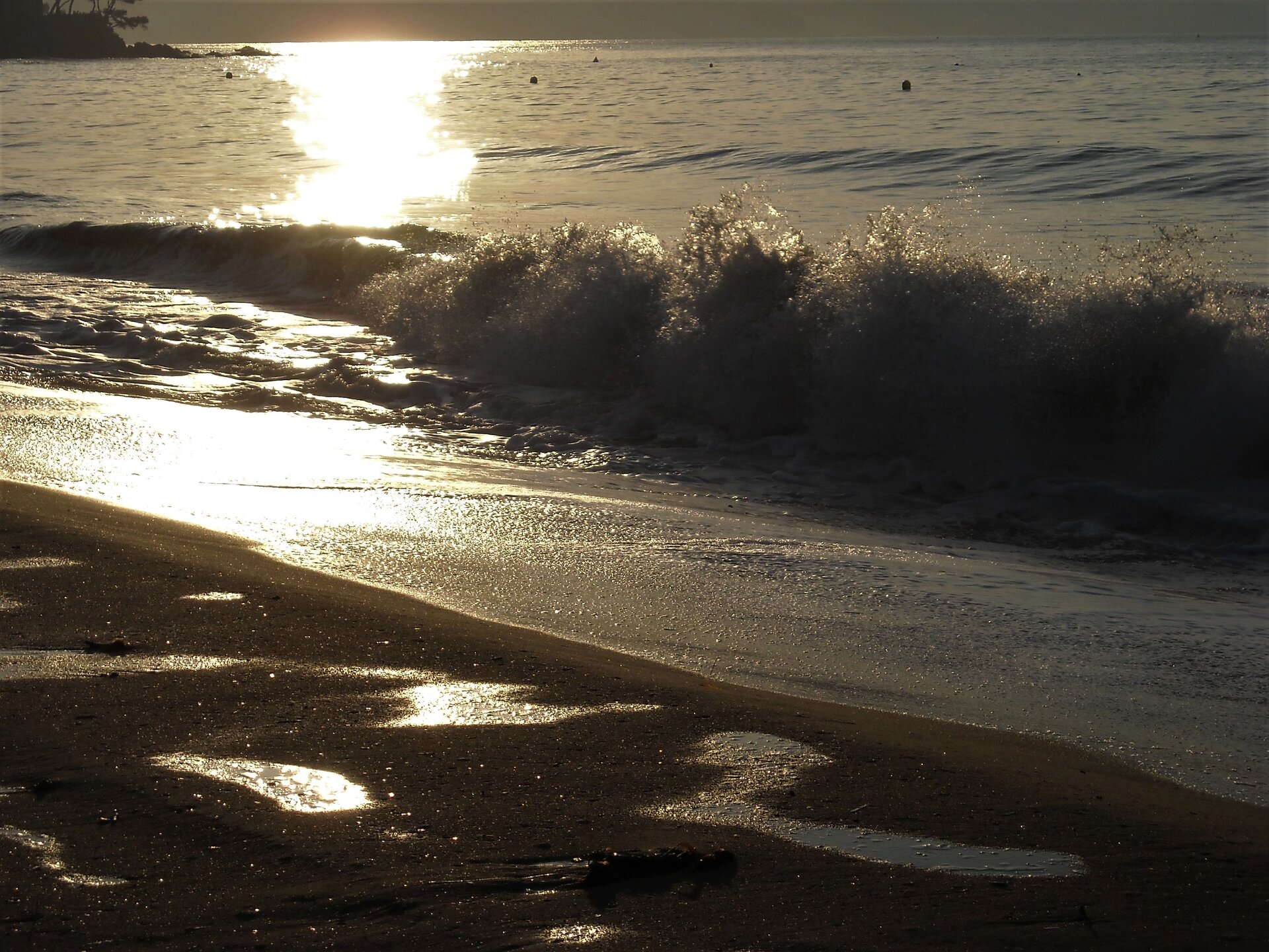 DSCN0546.JPG