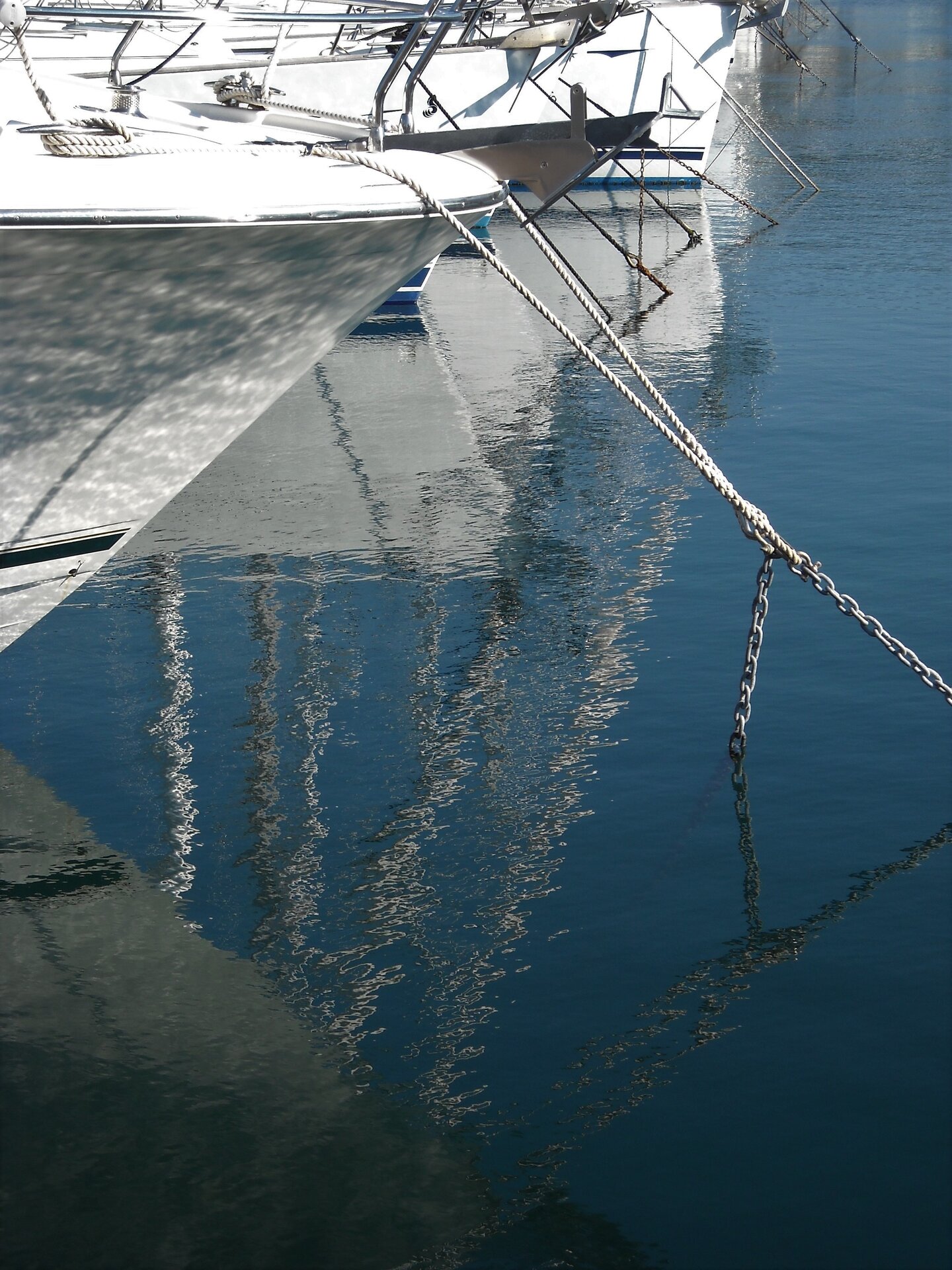 DSCN0552.JPG