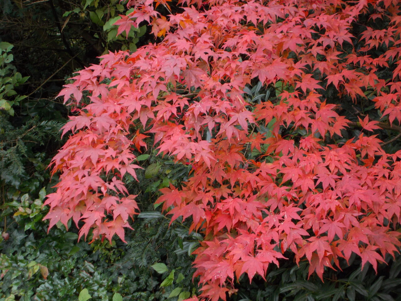 DSCN0609.JPG