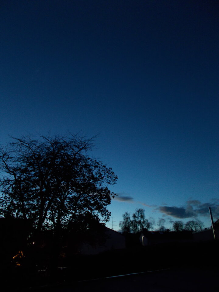 DSCN0628.JPG