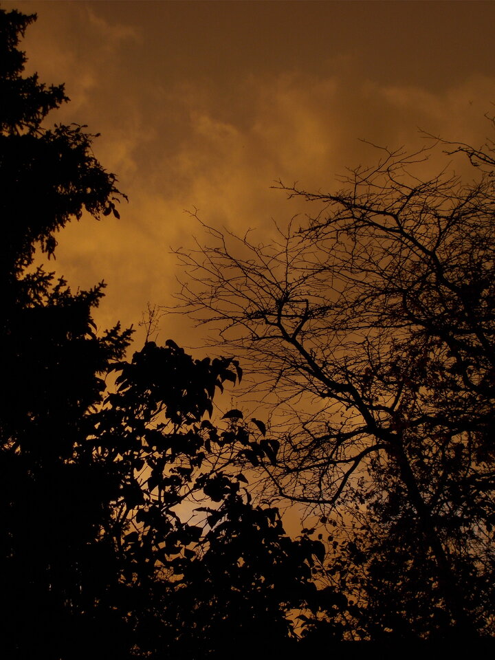 DSCN0629.JPG